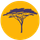 2- Safaris en Amboseli